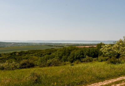 Alman-tető