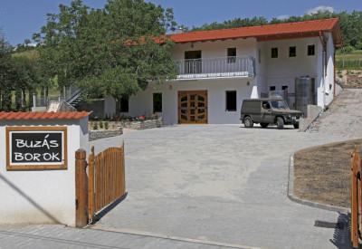 Buzás wines