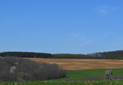 Csillagó (mérőtorony)