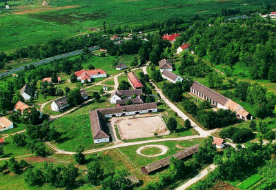 Excursion to Szántódpuszta