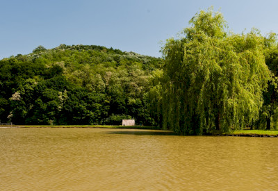 Halastó Nagycsepely