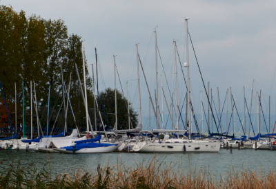 Harbor