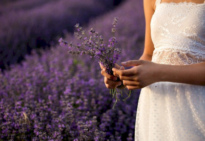 Lavender Farm in Kőröshegy - Kőröshegyi Levendulás 